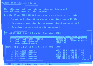 Windows XP partitioning screen